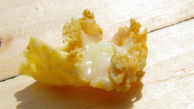 Ο βασιλικός πολτός και τα… επείγοντα